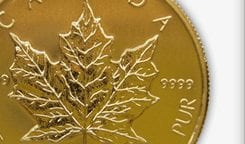 maple leaf gold coin