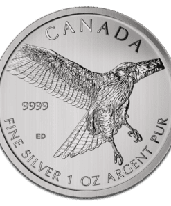 Red Tailed Hawk Silver coin
